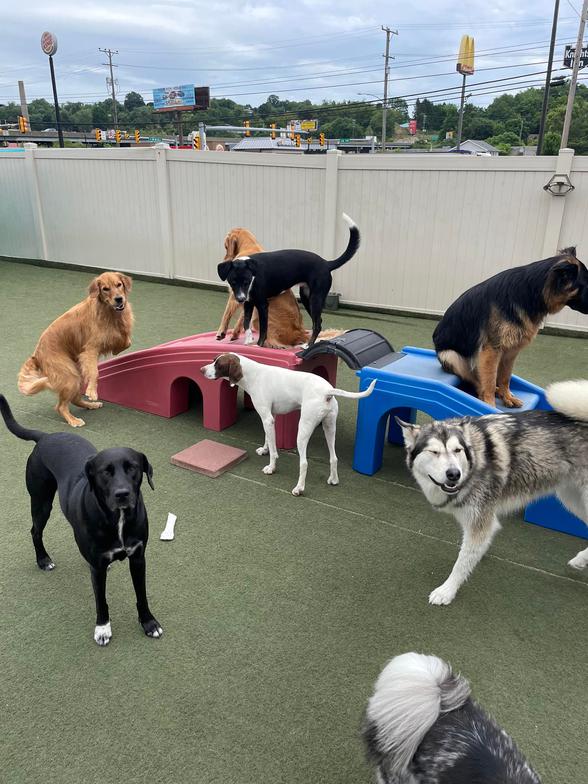 Daycare daycare