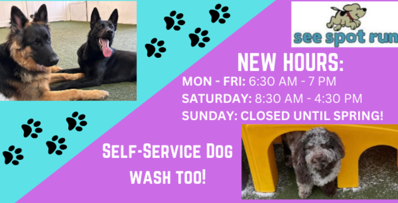 see-spot-run-greensburg-pa-15601